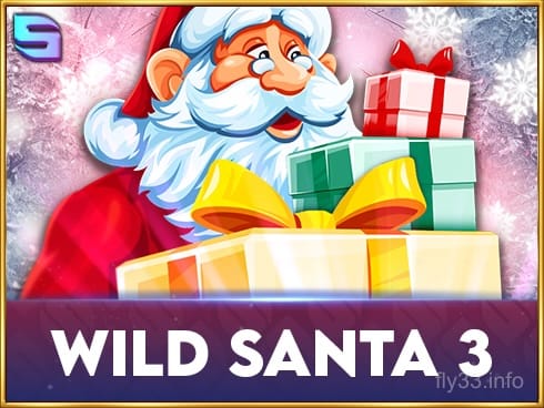 Wild Santa 3