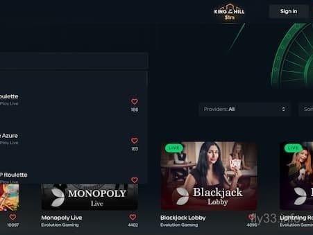 fly33 game interface - live roulette